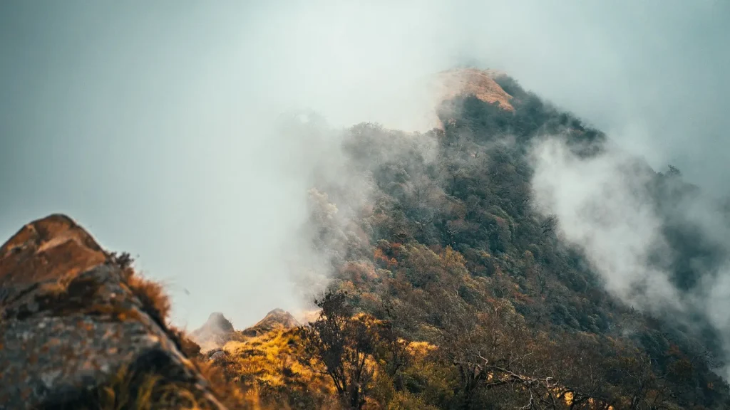 Mardi Himal Trek trail through Himalayan forest in Nepal